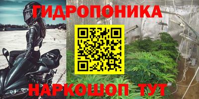 индика Тверь