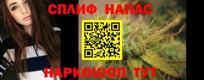 индика Тверь