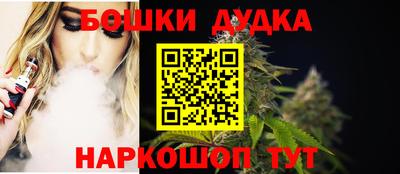 индика Тверь