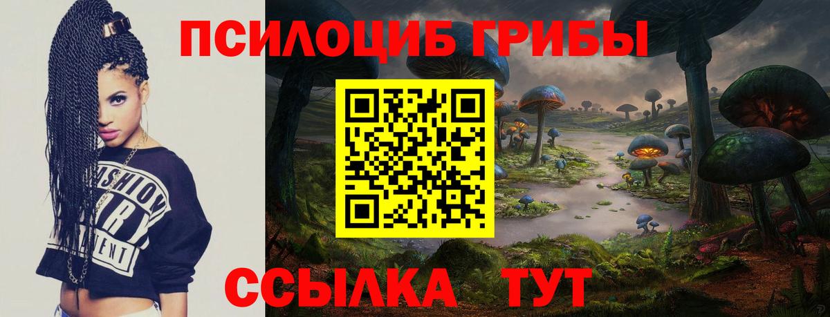 Менделеевск  Псилоцибиновые грибы Magic Shrooms  Вход с VPN 